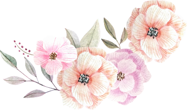 LIOPA - Cung cấp mỹ phẩm tốt nhất đến người tiêu dùng Việt Nam