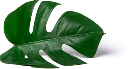 LIOPA - Cung cấp mỹ phẩm tốt nhất đến người tiêu dùng Việt Nam